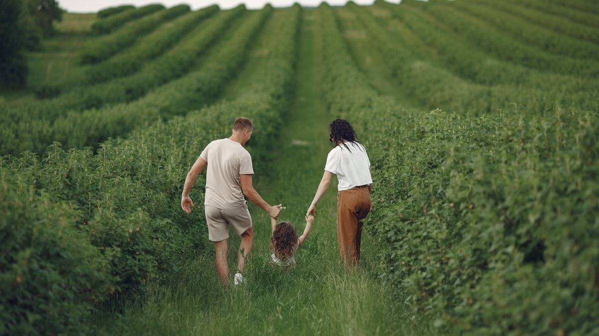 Attività da fare in famiglia per un benessere comune post thumbnail image